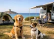Campeggio con cani ammessi in Sardegna