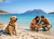 Guida vacanza pet friendly Sardegna al mare